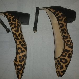 Cheetah Pumps